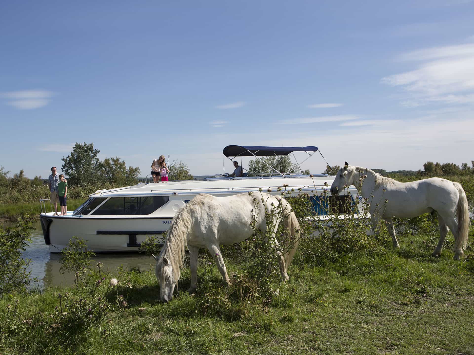 Houseboat in Camargue in famiglia nella natura
