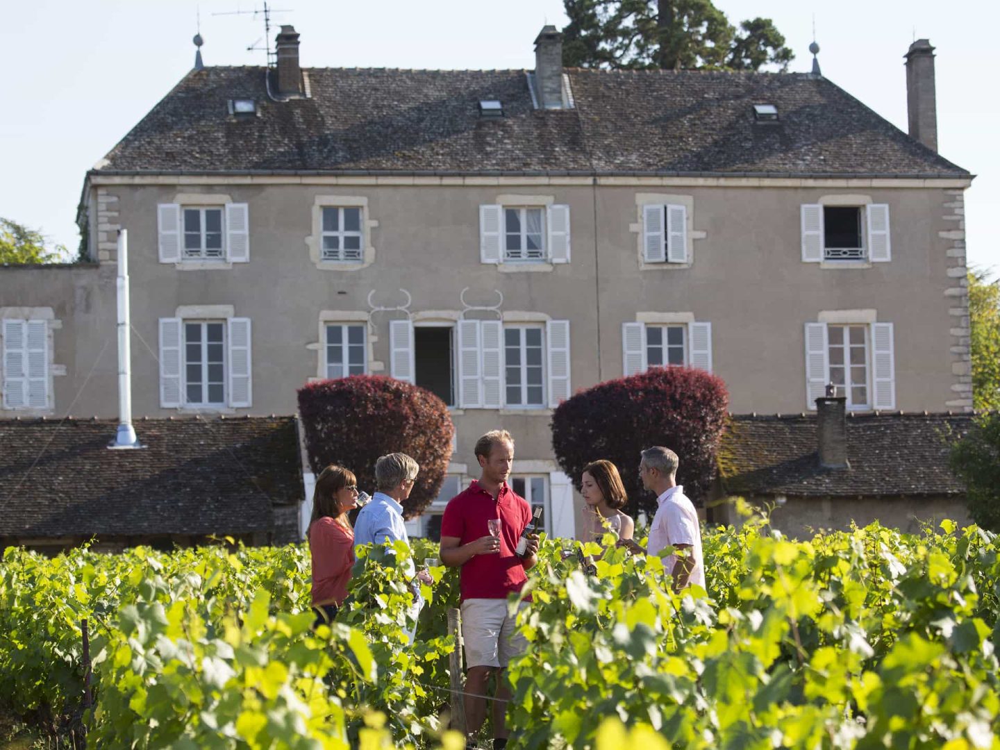 Azienda vinicola in Borgogna Nivernais