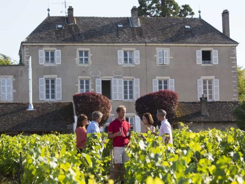 Azienda vinicola in Borgogna Nivernais
