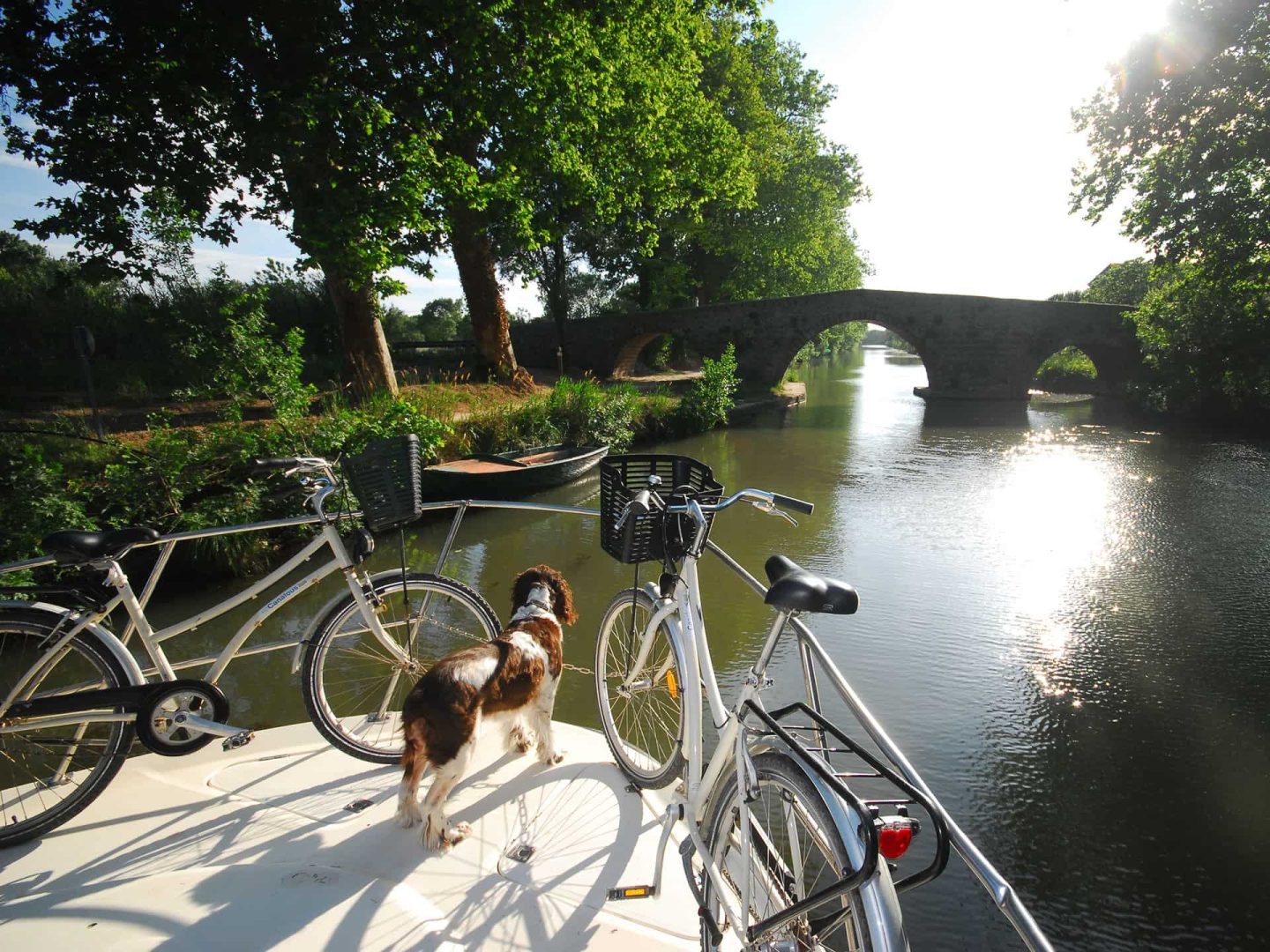 Houseboat nel Canal du Midi con cane a bordo