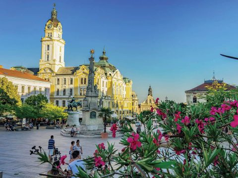 Città di Pecs, visita con crociera sul Danubio