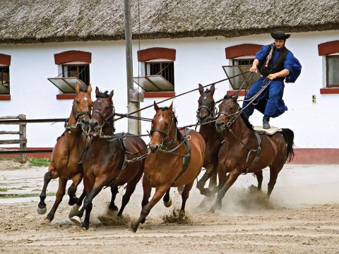 Spettacolo equestre Puszta a Budapest