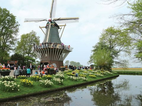 Parco Keukenhof escursione facoltativa sul Reno